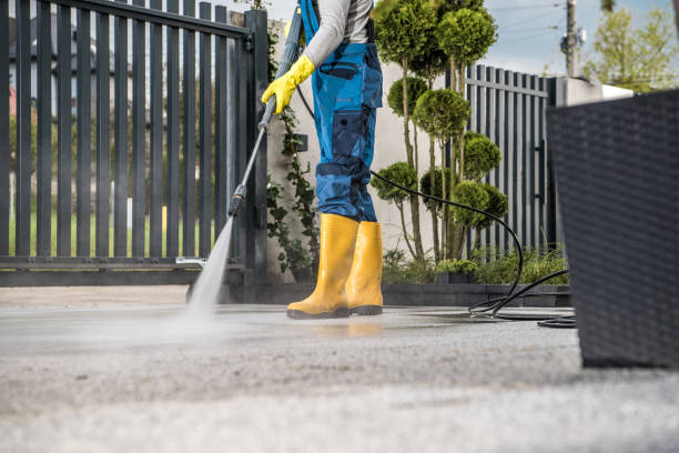 Professional Pressure Washing in Lynchburg, MS